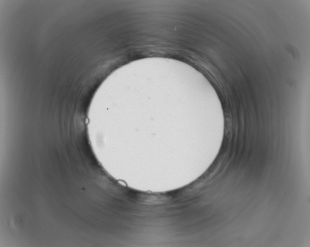 X0000113360621200910131301