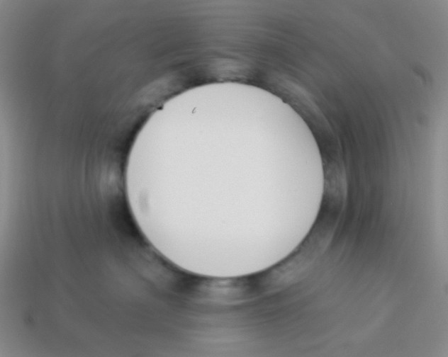 X0000113360622200910131301