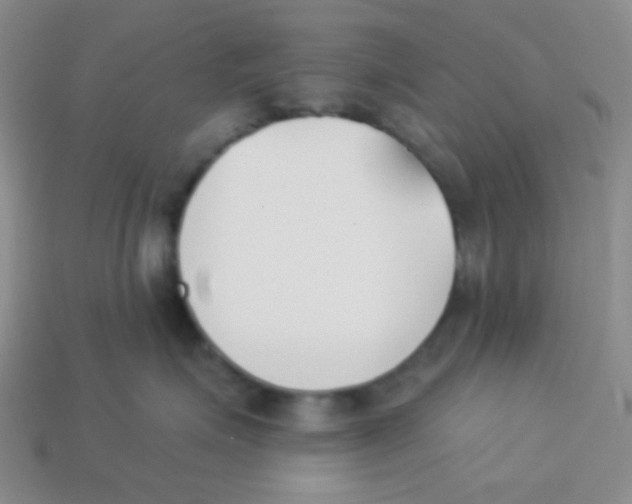X0000113360623200910131301