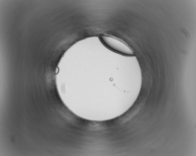 X0000113360624200910131301