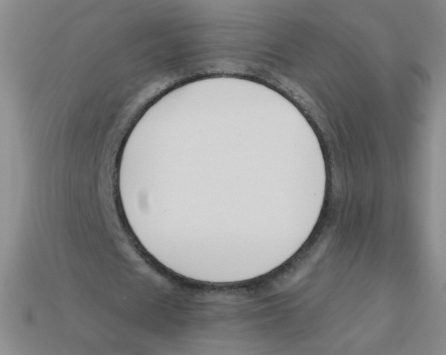 X0000113360625200910131300
