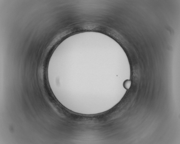 X0000113360626200910131300