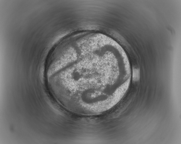 X0000113360627200910131300