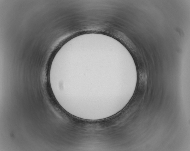X0000113360628200910131301
