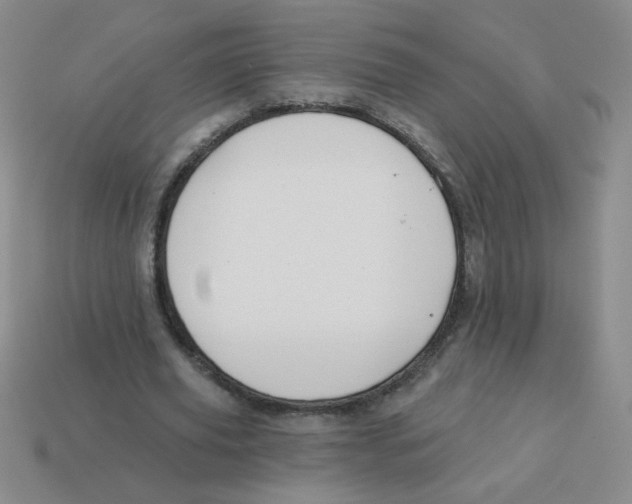 X0000113360629200910131301