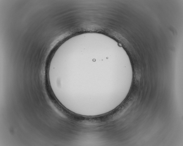 X0000113360630200910131301