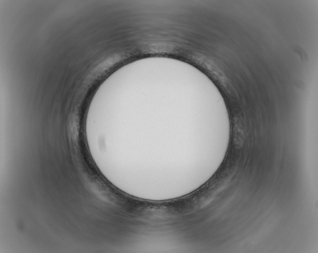 X0000113360631200910131301