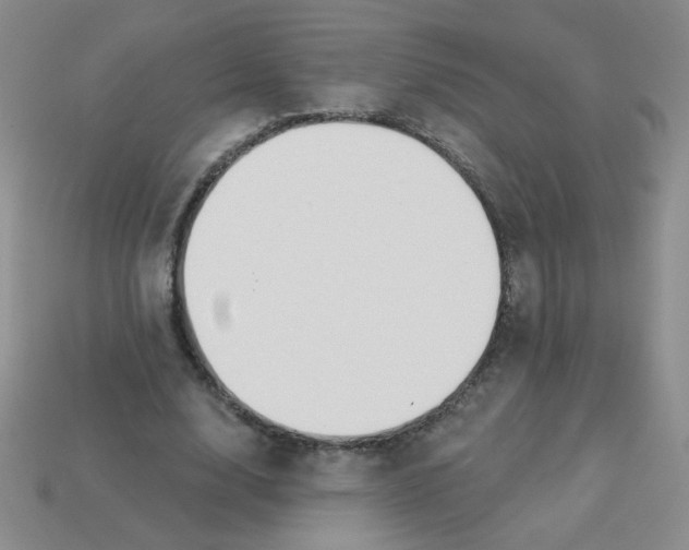 X0000113360632200910131301