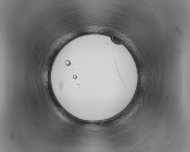 X0000113360633200910131301