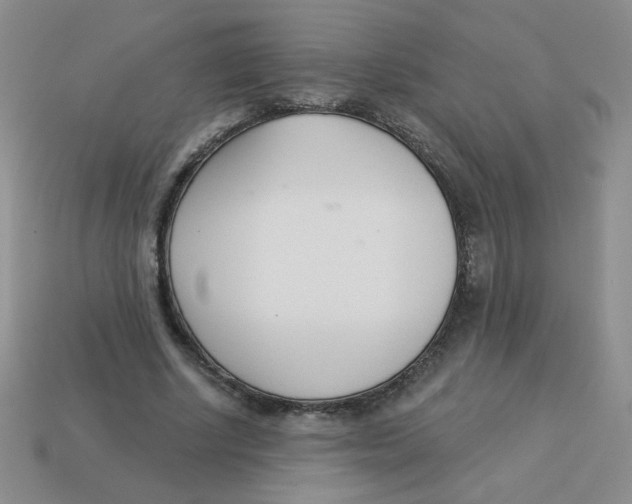X0000113360634200910131301