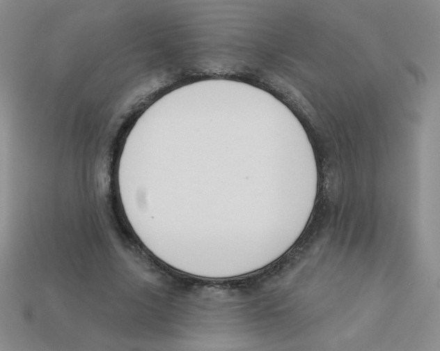X0000113360635200910131301