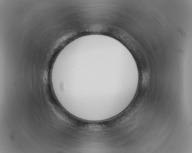 X0000113360636200910131301