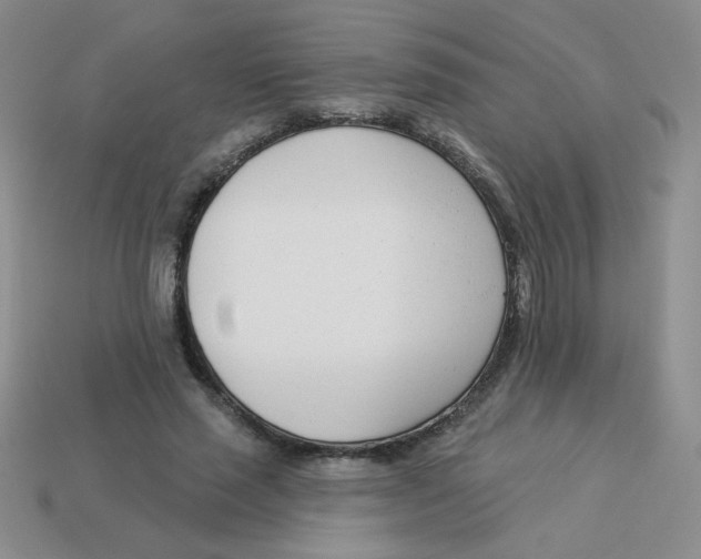 X0000113360637200910131301