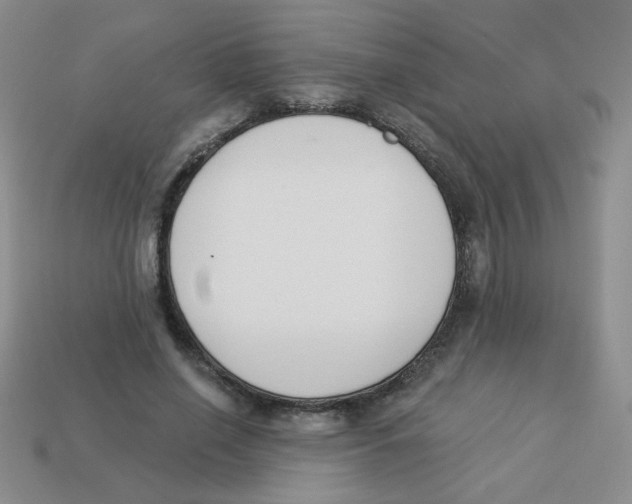 X0000113360638200910131301