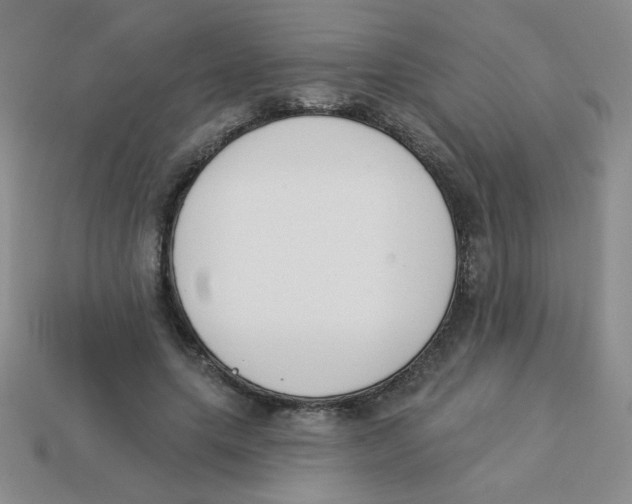 X0000113360639200910131301