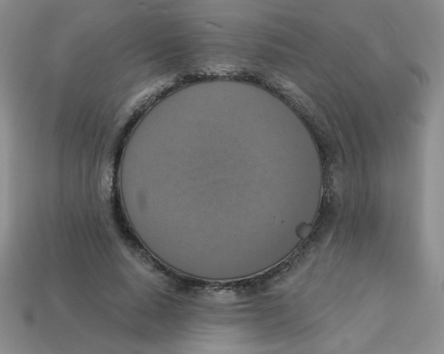 X0000113360640200910131301