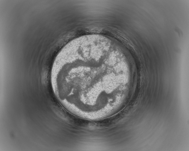 X0000113360641200910131301