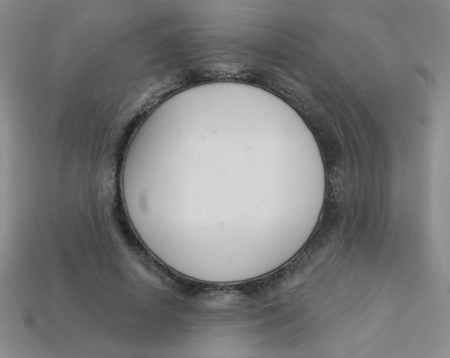 X0000113360642200910131301