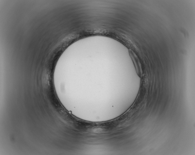 X0000113360643200910131301