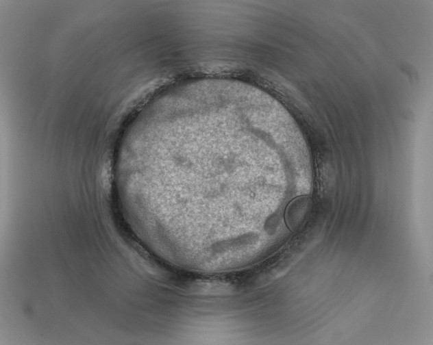 X0000113360644200910131301