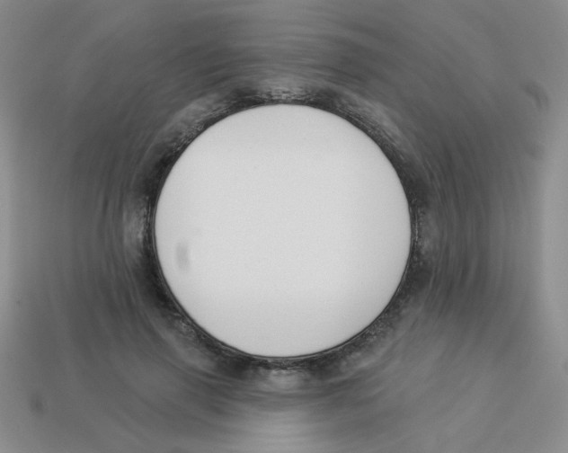 X0000113360645200910131301