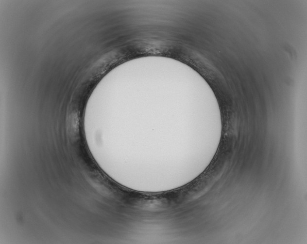 X0000113360646200910131301