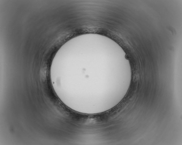 X0000113360647200910131301