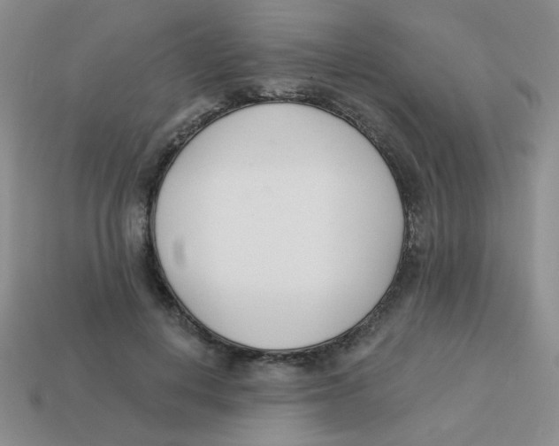 X0000113360648200910131301