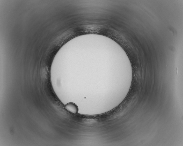 X0000113360649200910131301