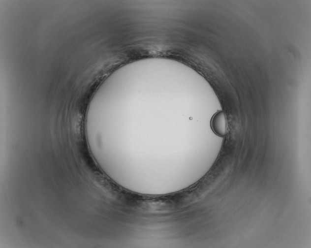X0000113360650200910131301