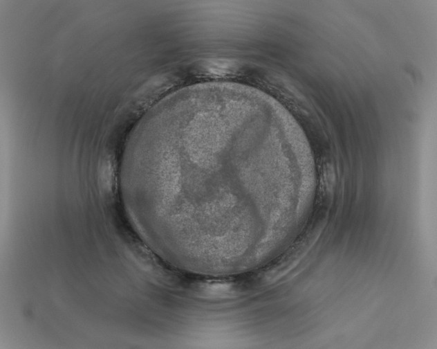 X0000113360651200910131301