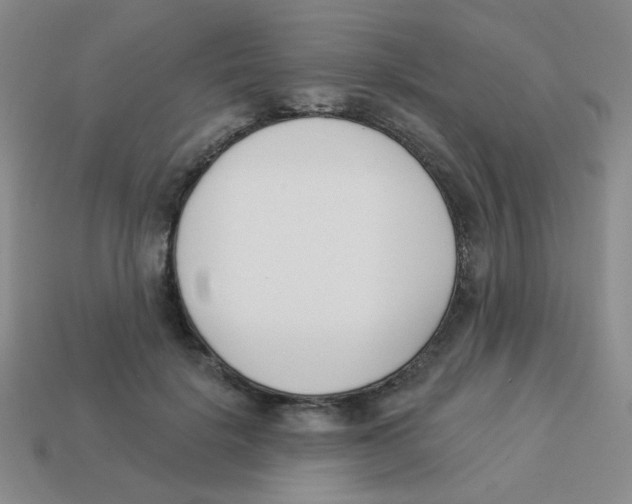 X0000113360652200910131301