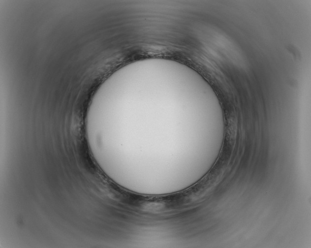 X0000113360653200910131301