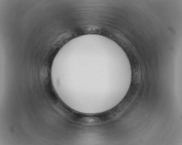 X0000113360654200910131301