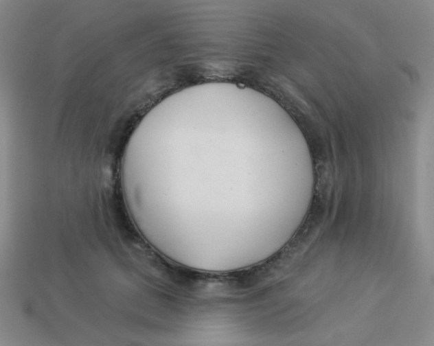 X0000113360655200910131301