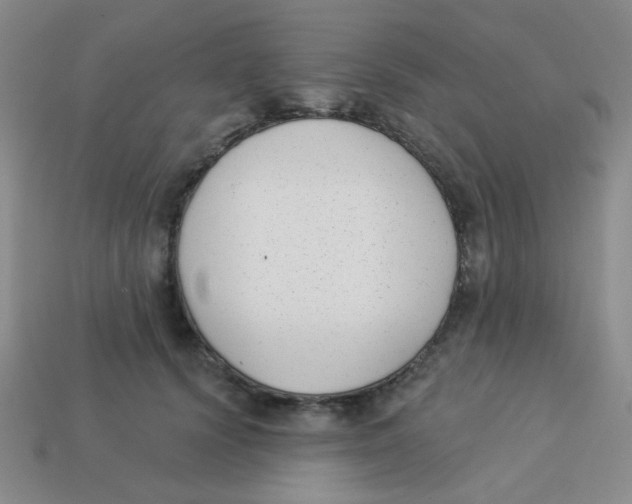 X0000113360656200910131301
