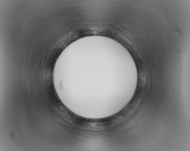 X0000113360657200910131301
