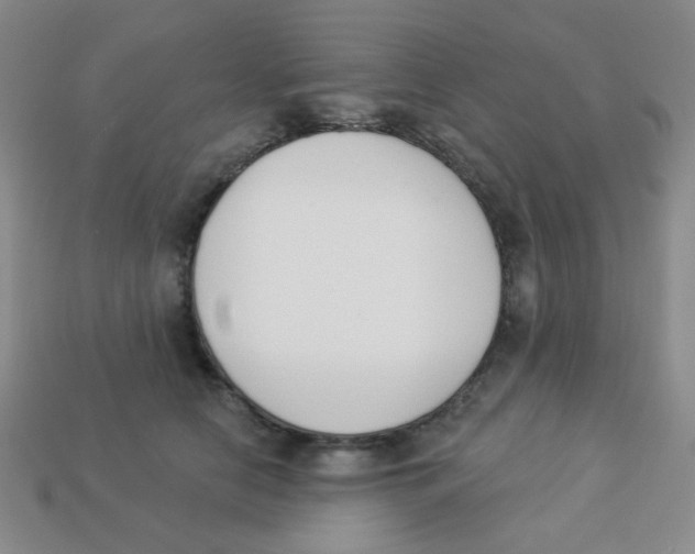 X0000113360658200910131301