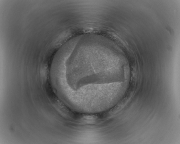 X0000113360659200910131301