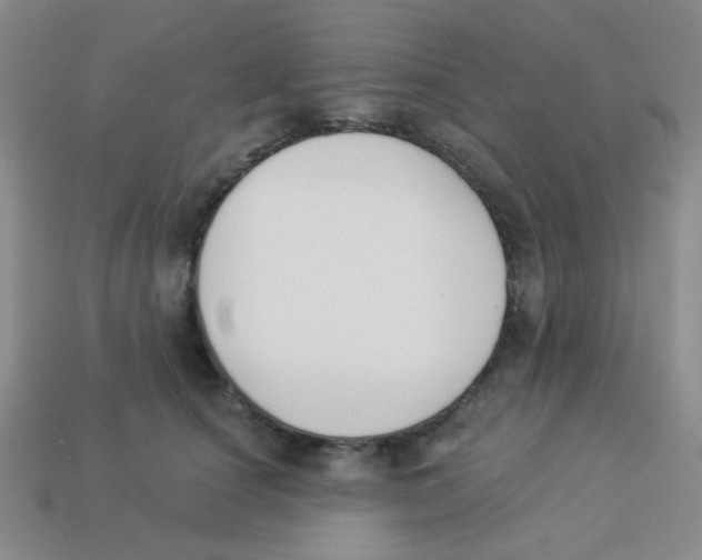 X0000113360660200910131301