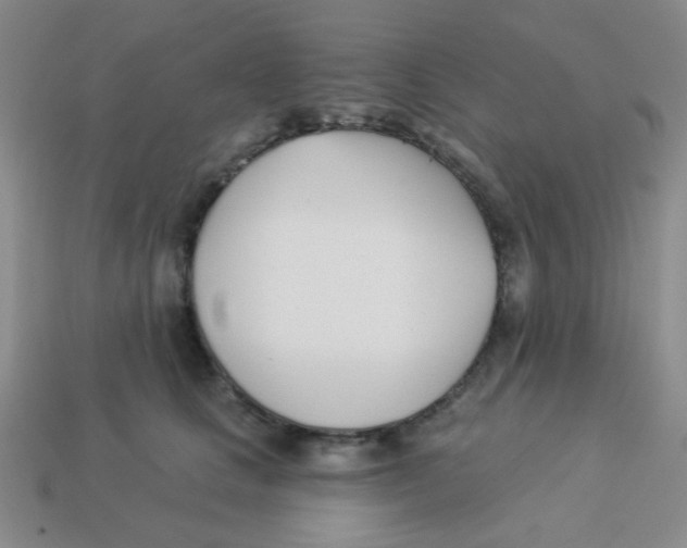 X0000113360661200910131301