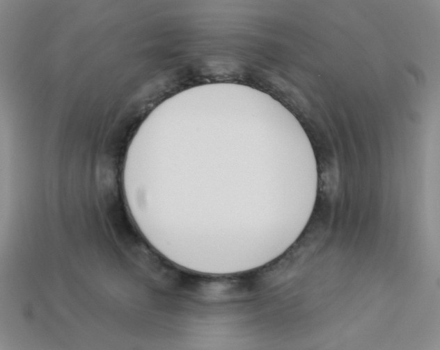 X0000113360662200910131301