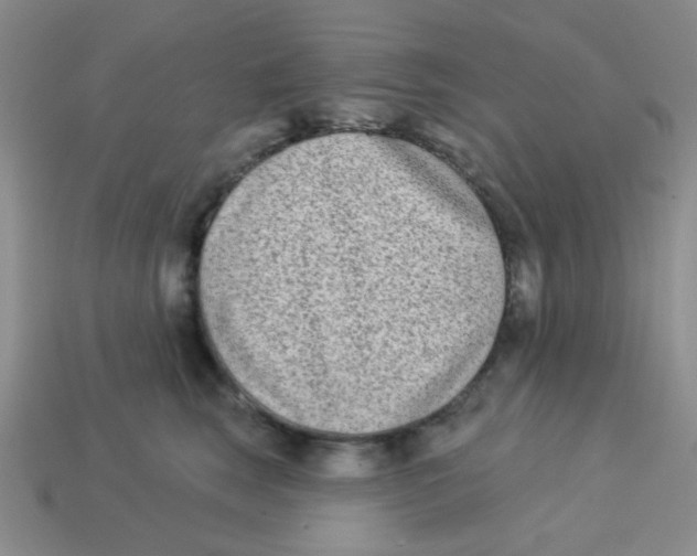 X0000113360663200910131301