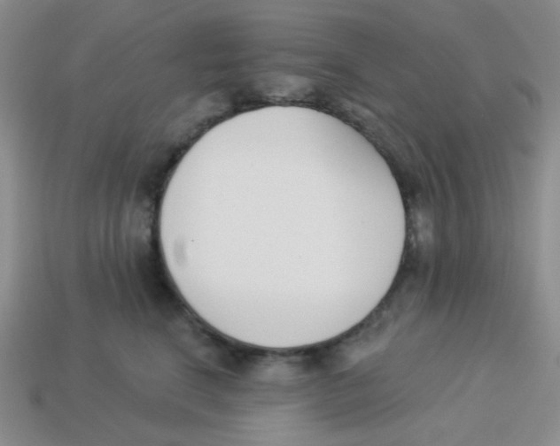 X0000113360664200910131301
