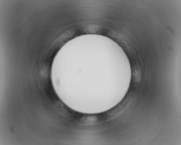 X0000113360665200910131301