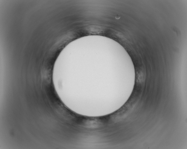 X0000113360666200910131301