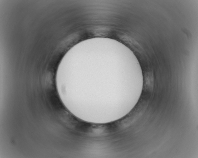 X0000113360667200910131301
