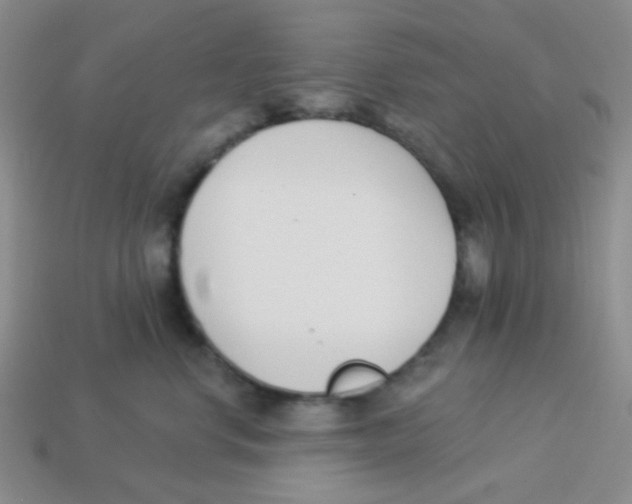 X0000113360668200910131301