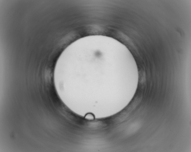 X0000113360669200910131301