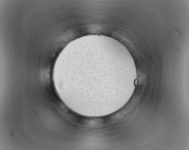 X0000113360670200910131301